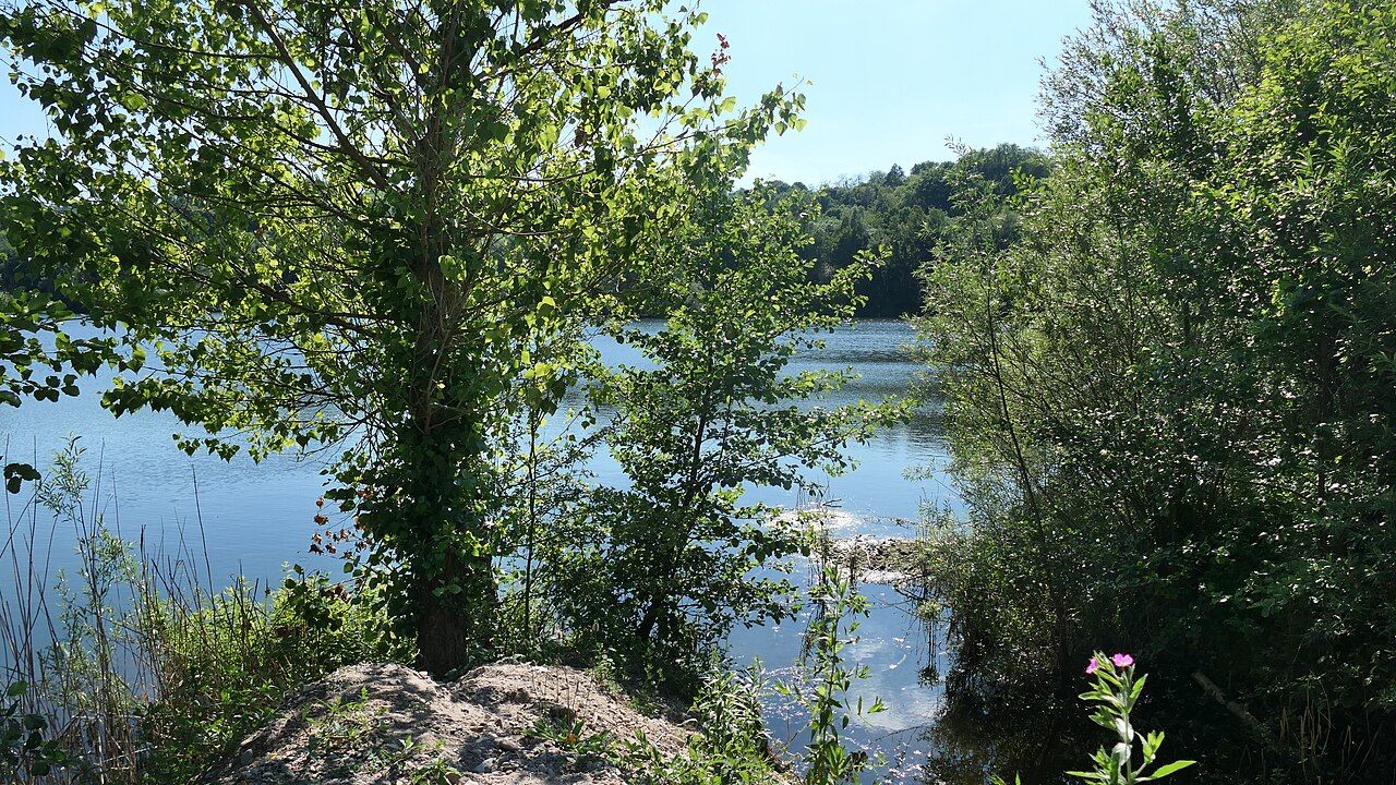 Werraaltarm und Werraaue bei Albungen