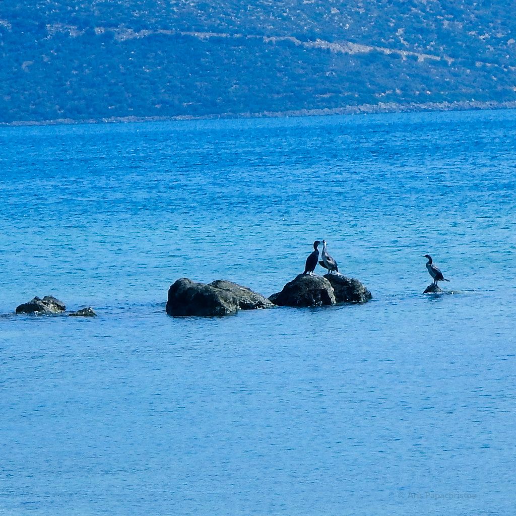 Plage GR