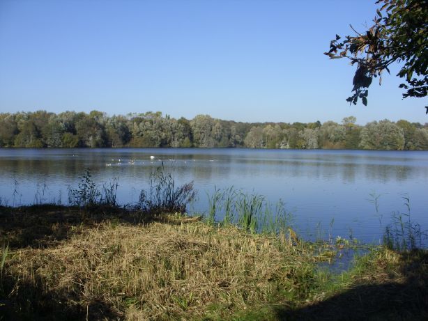 Dunger See
