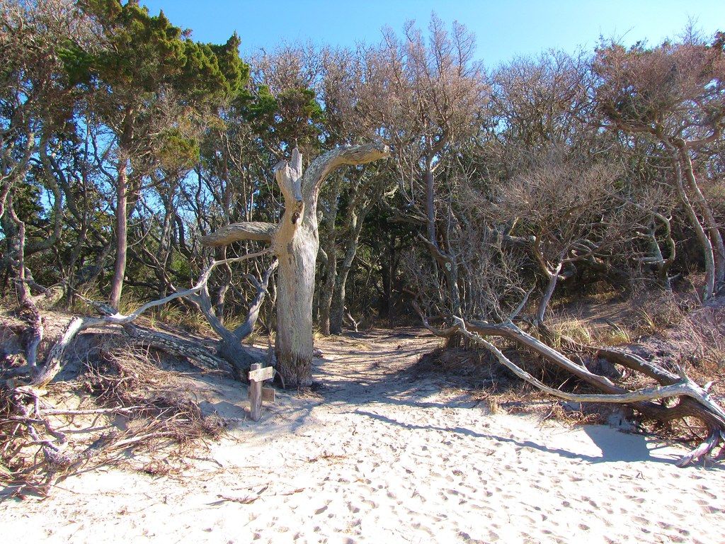 Plage US-SE