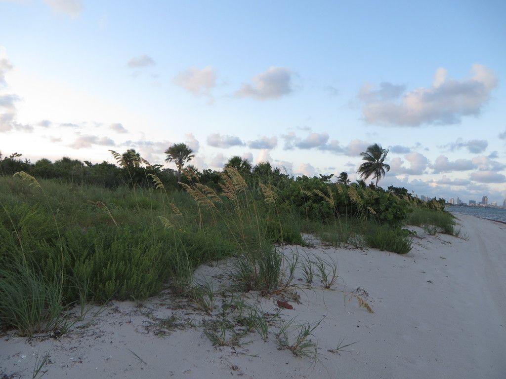Plage BS