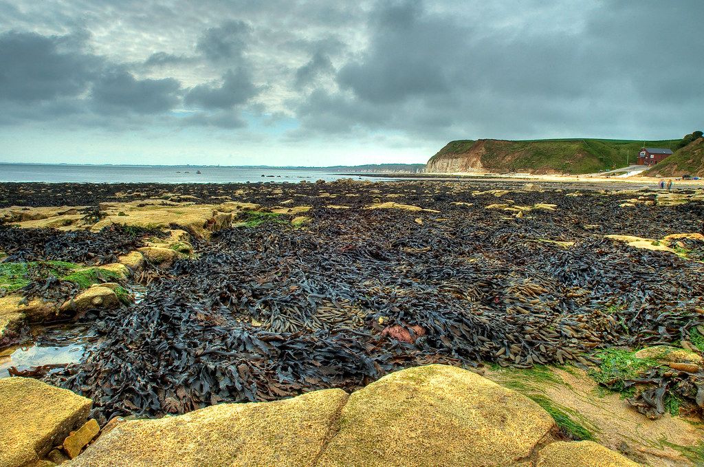 South Landing
