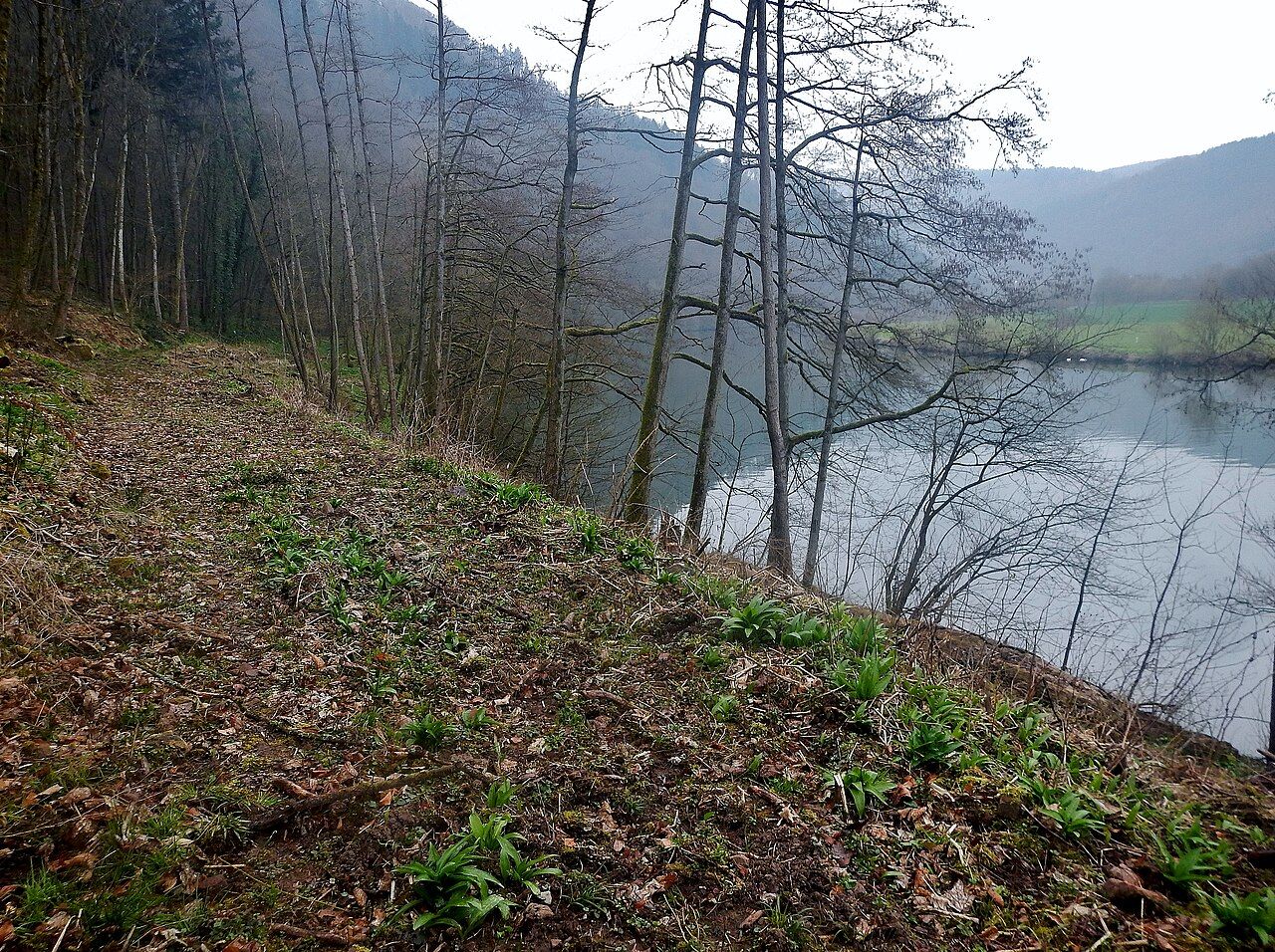Zwerrenberg