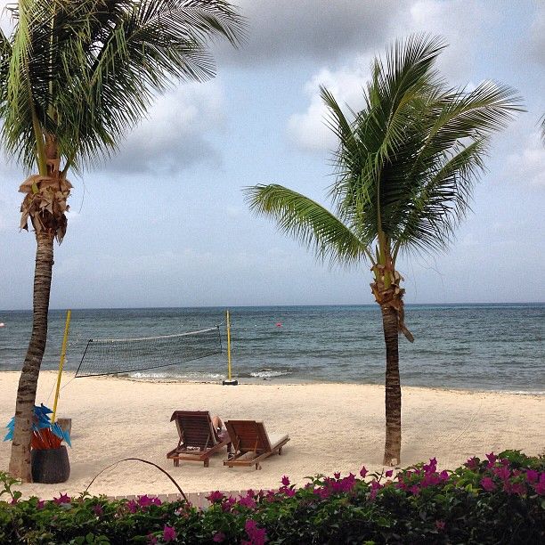 Plage MX-E
