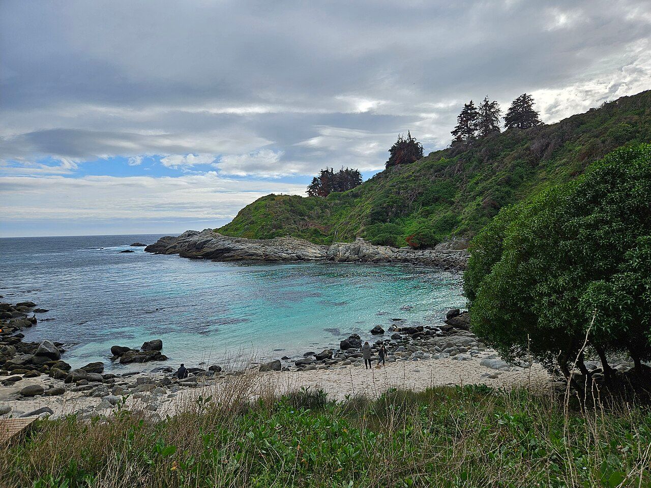 Playa Las Cujas