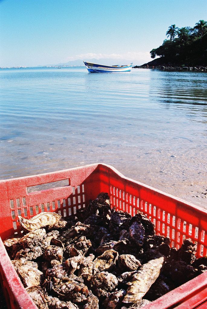Praia do Sambaqui