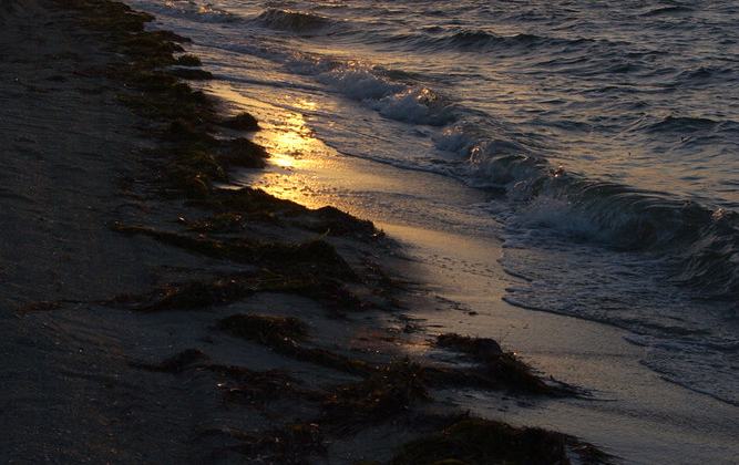 East Beach