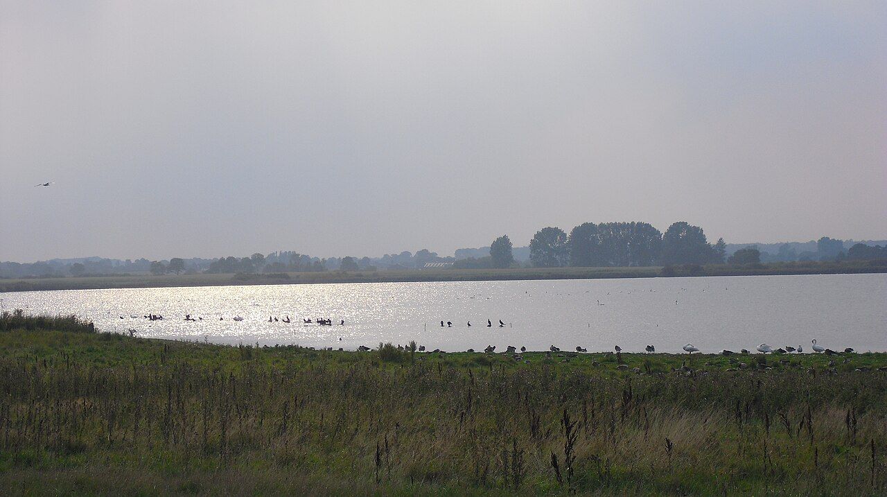 Naturschutzgebiet Schwansener See