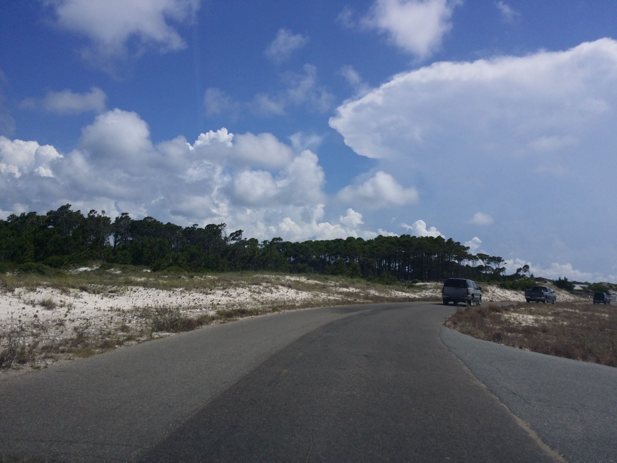 East Slough Beach Area