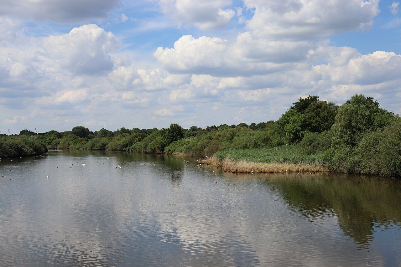 Neue Weser