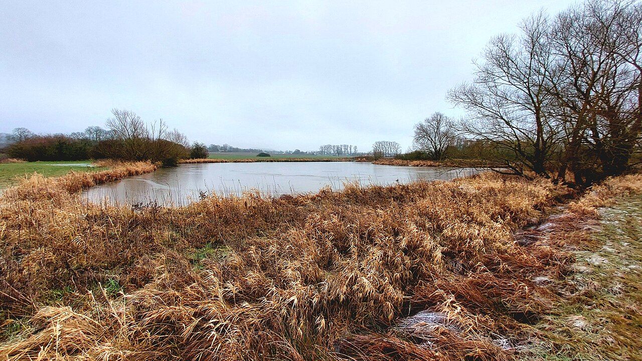 Storchenteich am Schwertzellsgraben