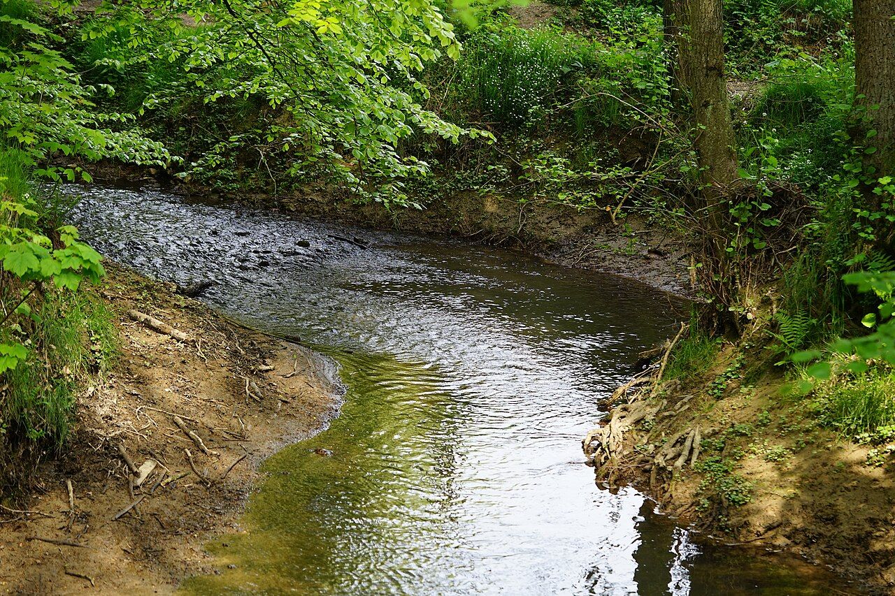 Mühlenmasch
