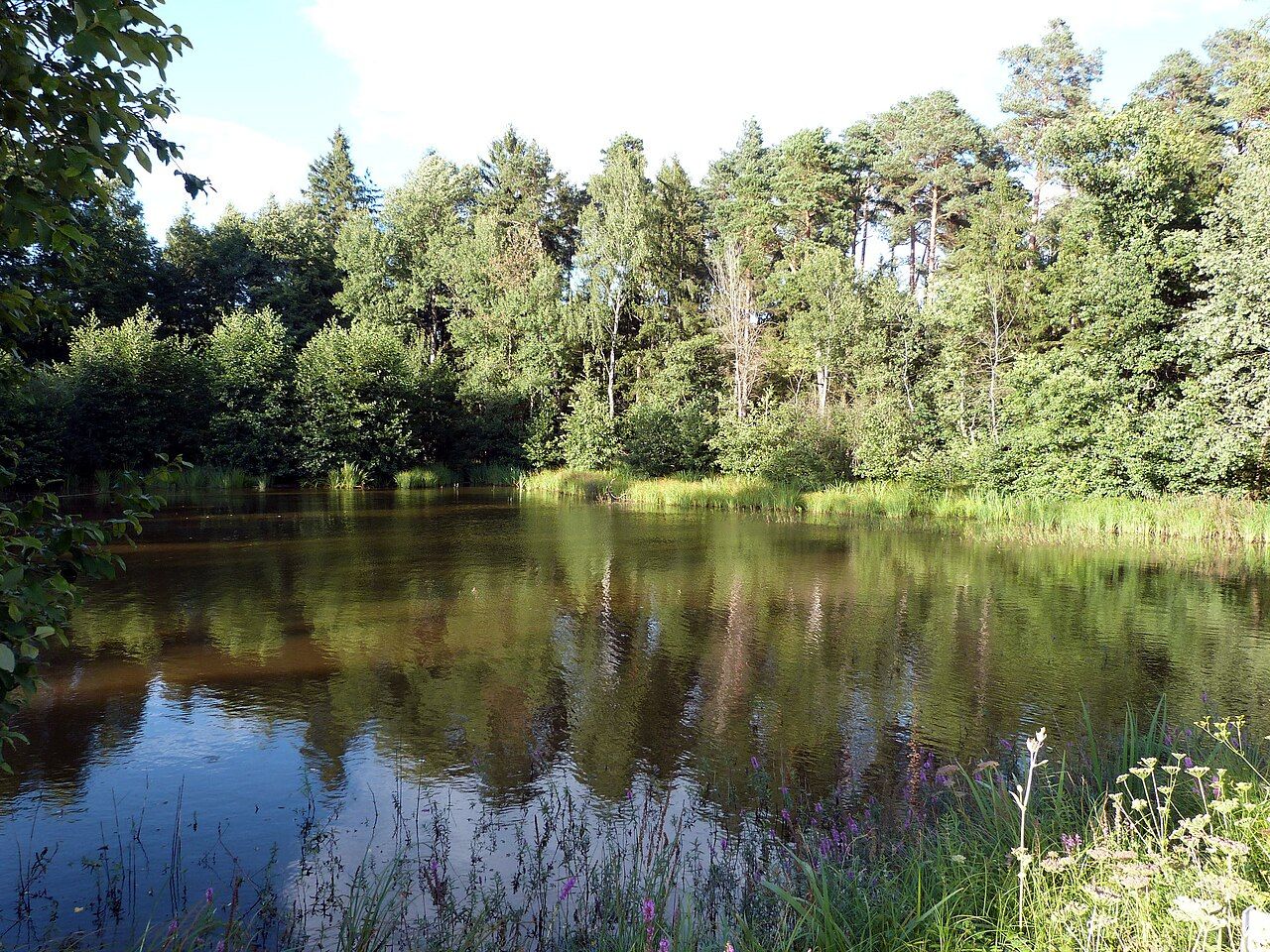 Birkenweiher mit Ober- und Unterholzweiher
