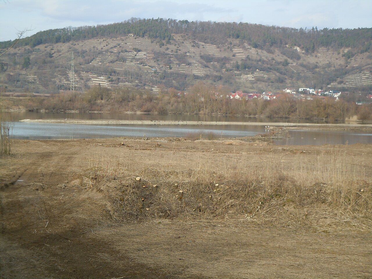 Burglehen