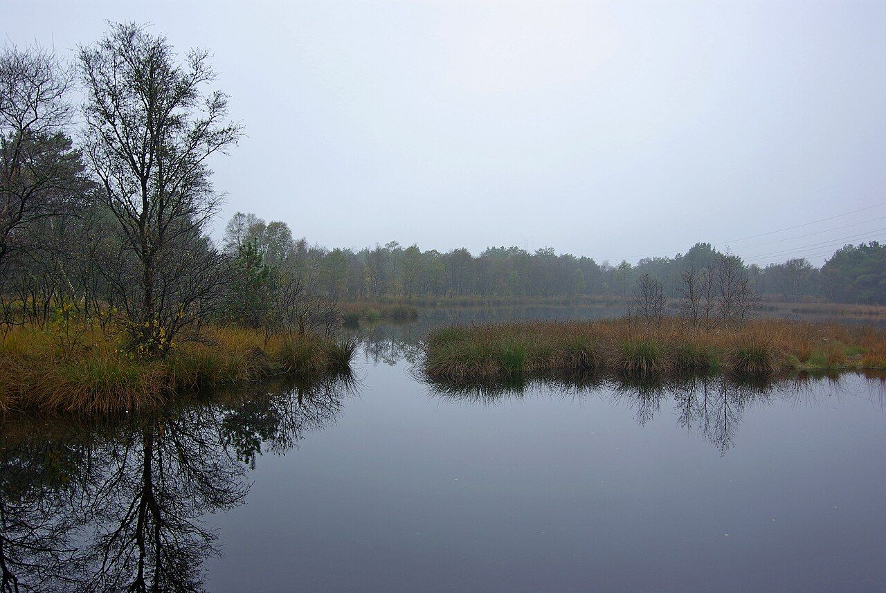 Bockhorner Moor