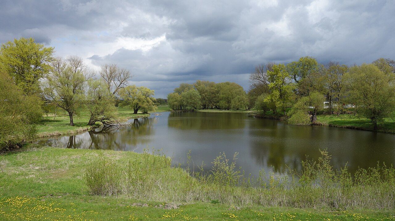 Elbdeichvorland