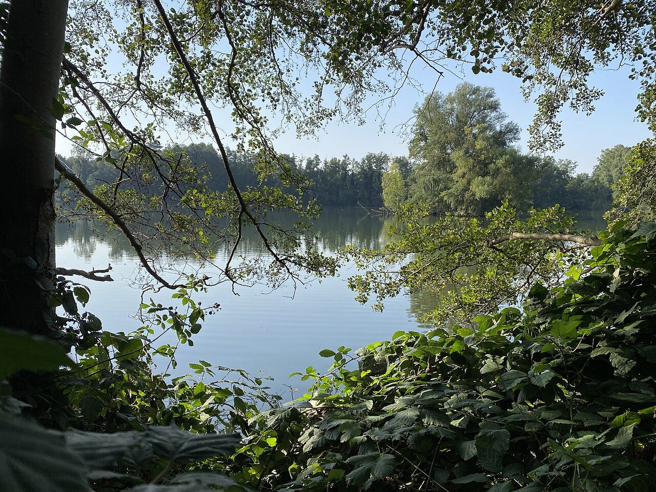 Ratinger Waldsee