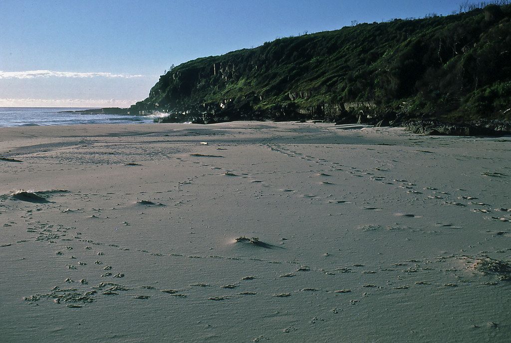 Newtons Beach
