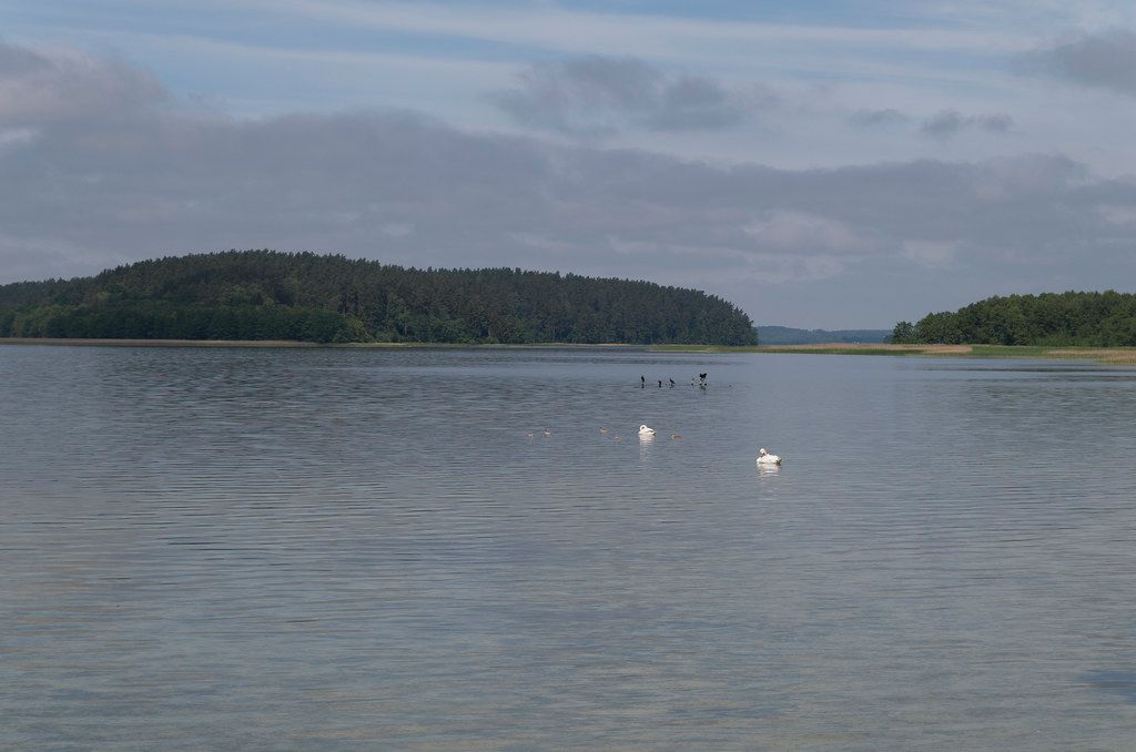 Plaża Piaski