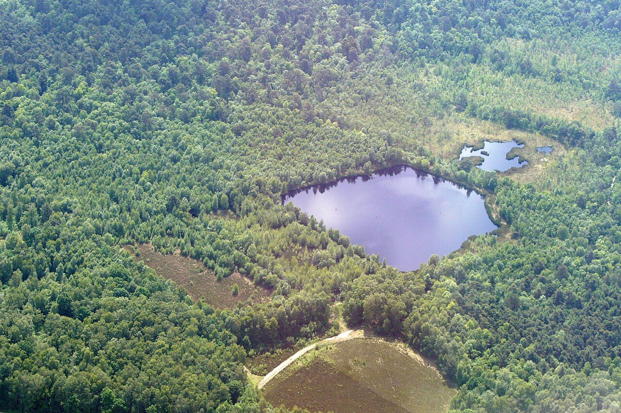 Venner Moor