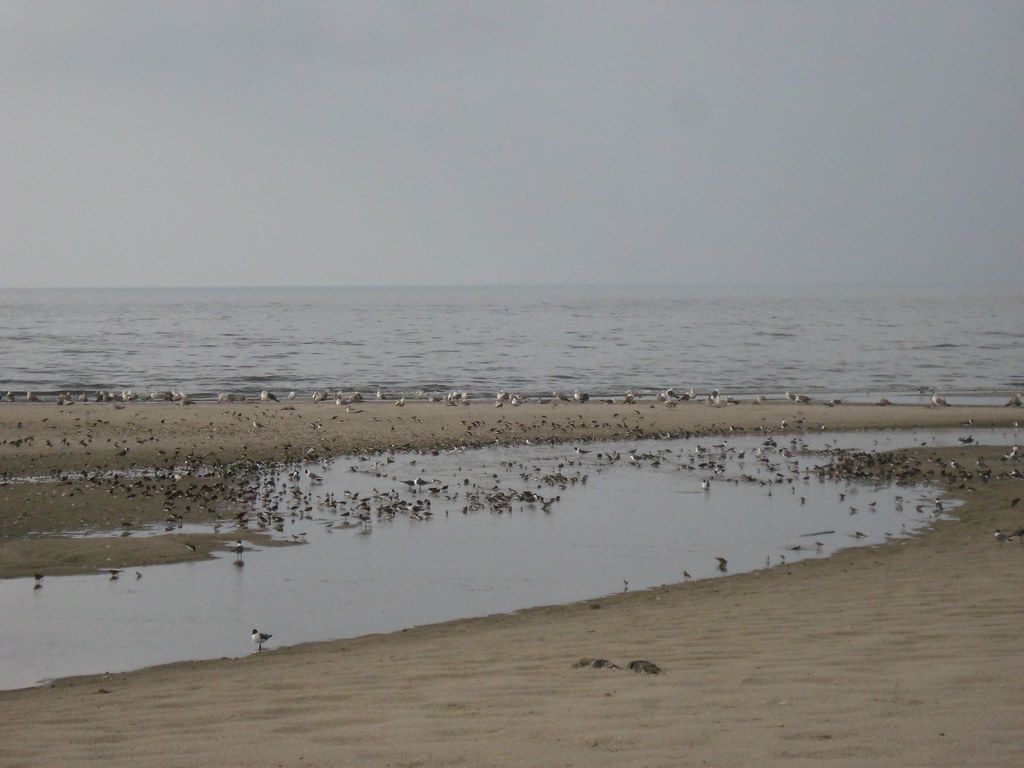Plage US-NE