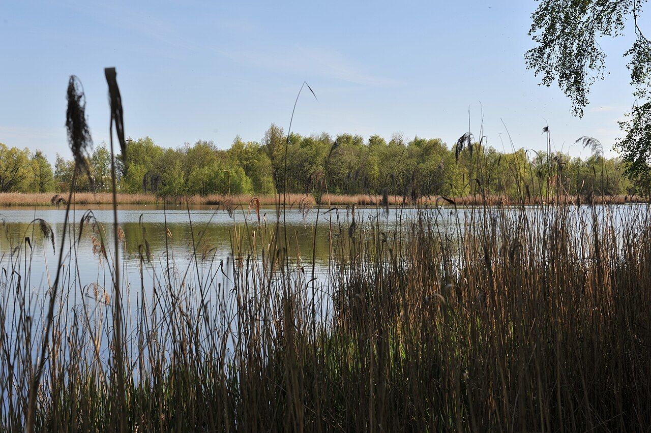 Weserportsee