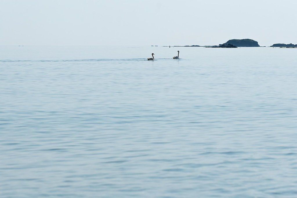 Plage BG