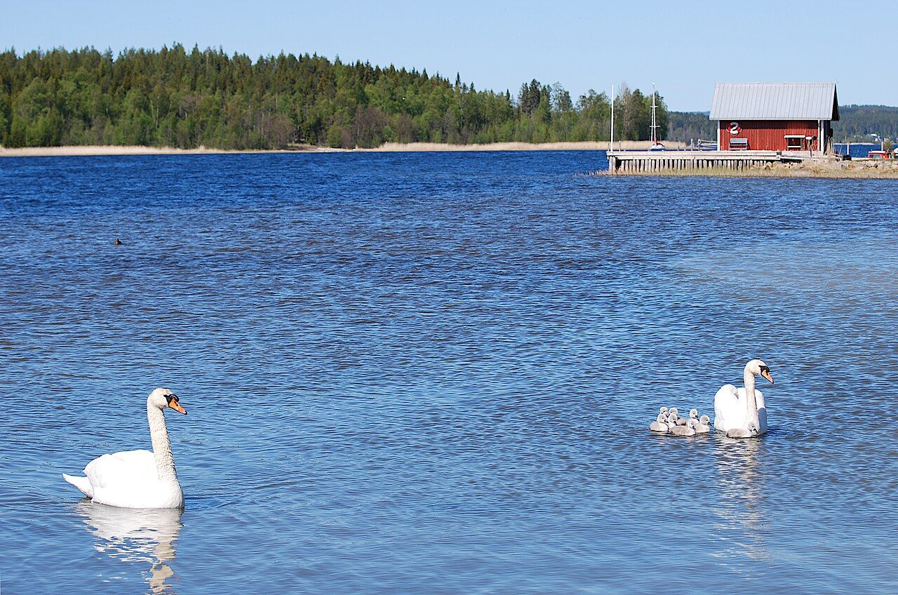Idbyfjärden