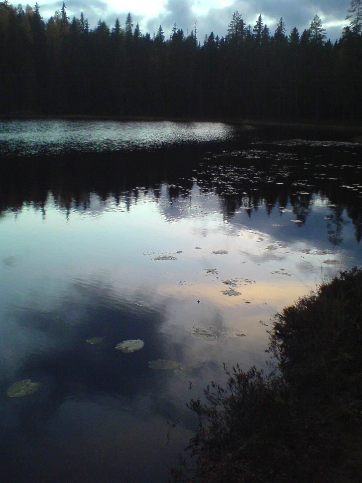 Vändåtbergets naturreservat