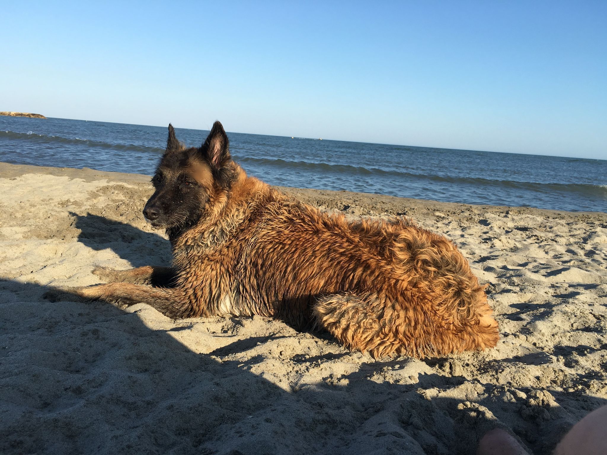 Beach Saintes-Maries-de-la-Mer
