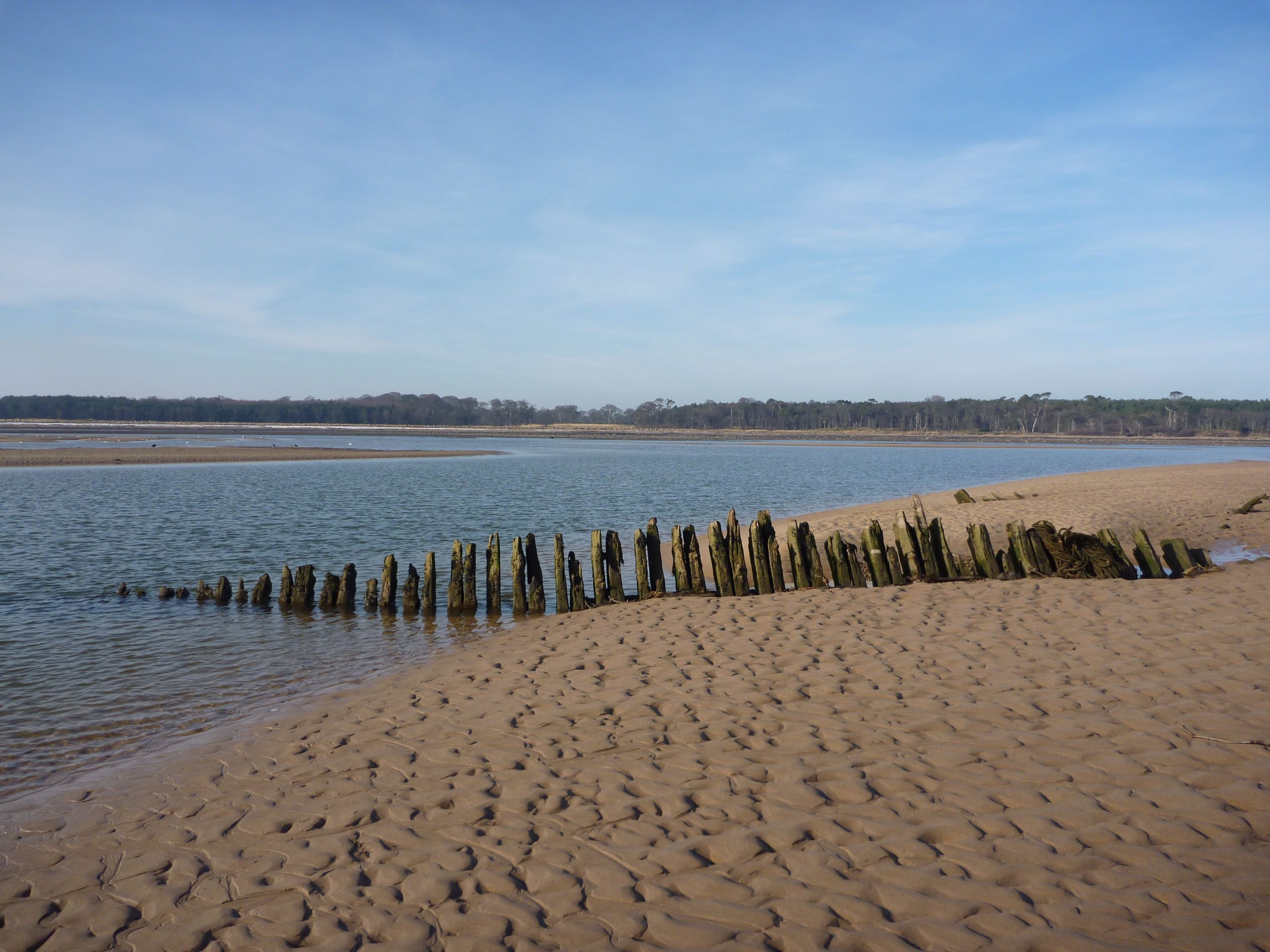 Tyne Sands