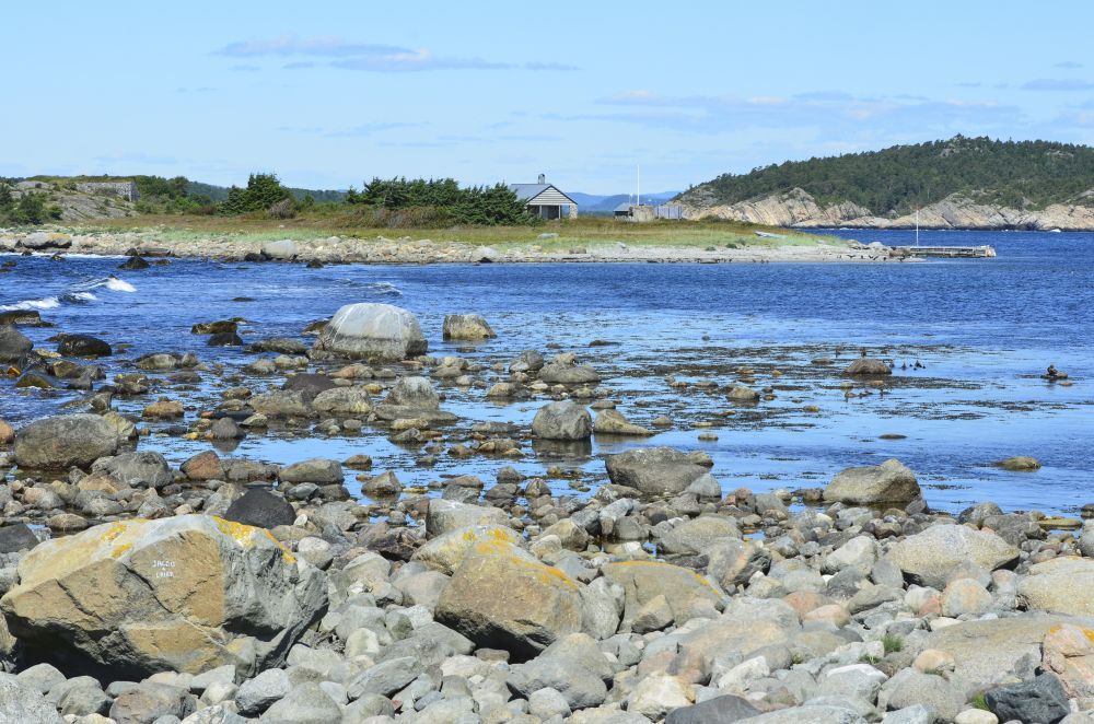 Fugløyrogn naturreservat