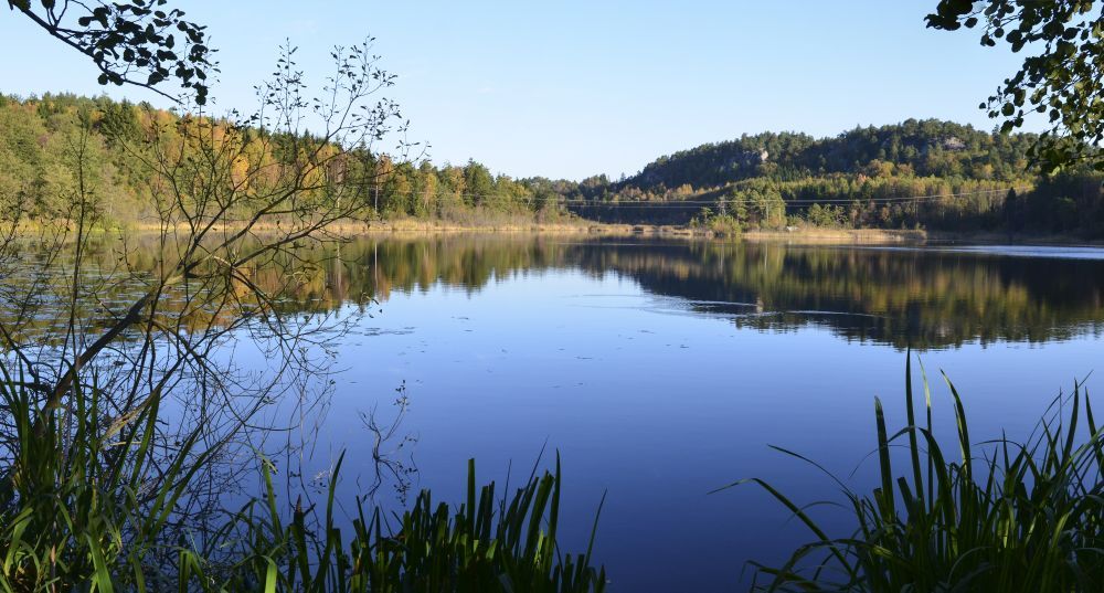 Refsholttjønna naturreservat