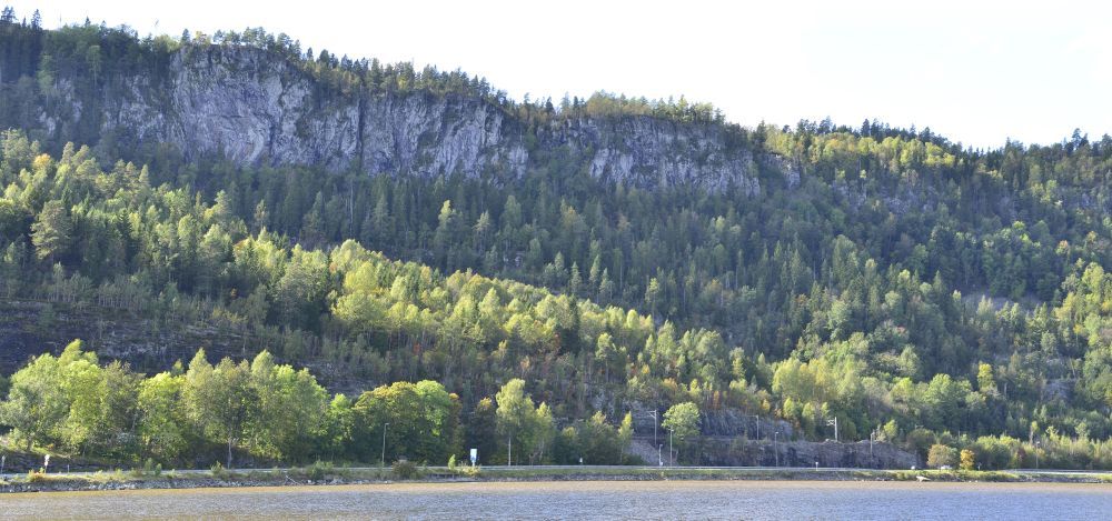 Bogen naturreservat