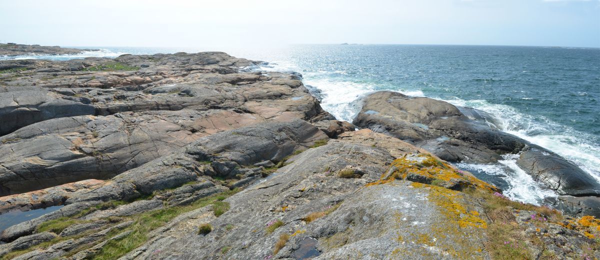 Kinnhalvøya naturreservat