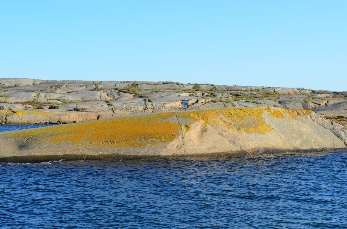 Gumserødøya fuglefredningsområde