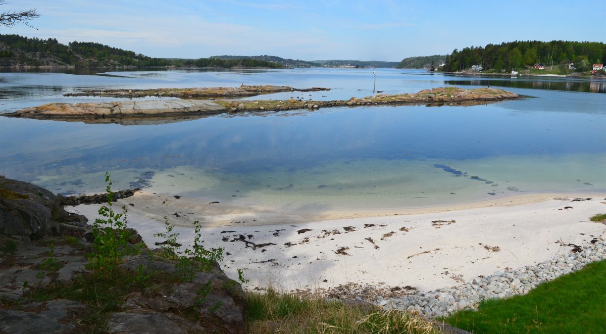 Saltbuskjær biotopvernområde