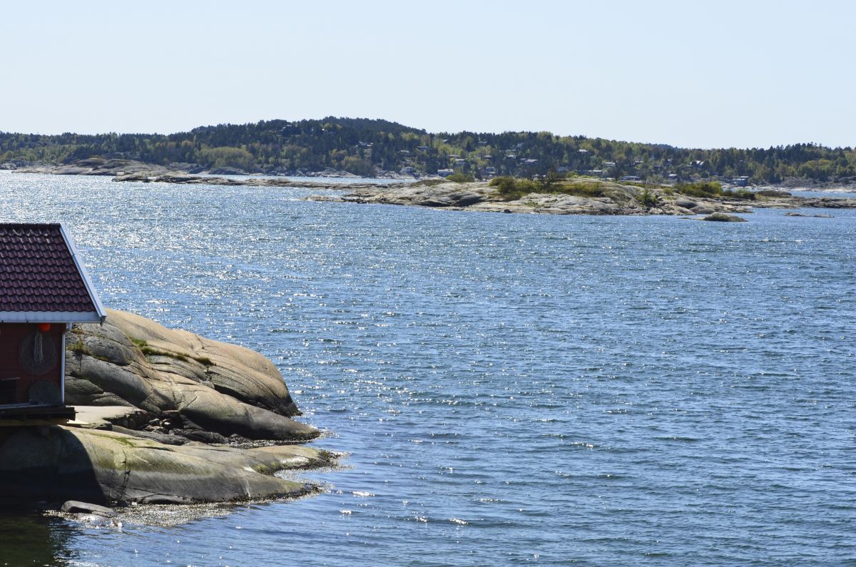 Marøyskjæra fuglefredningsområde