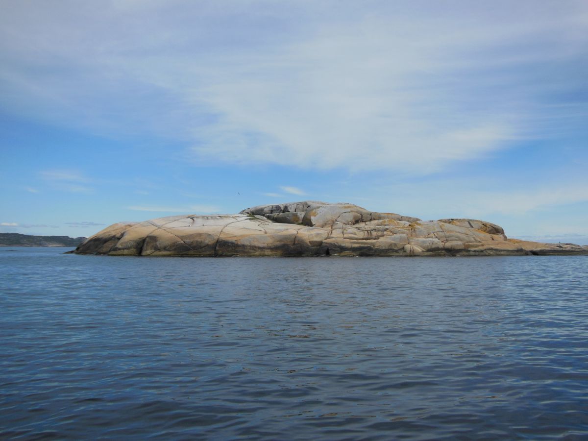 Bølene fuglefredningsområde