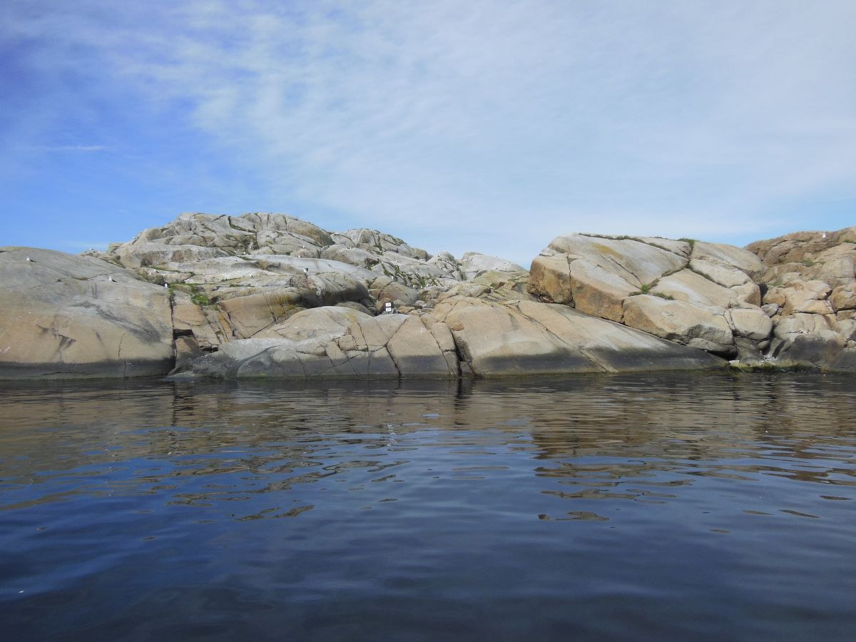 Strømsundholmen biotopvernområde
