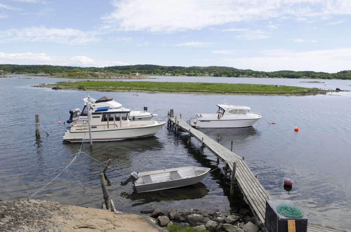 Flatholmen biotopvernområde