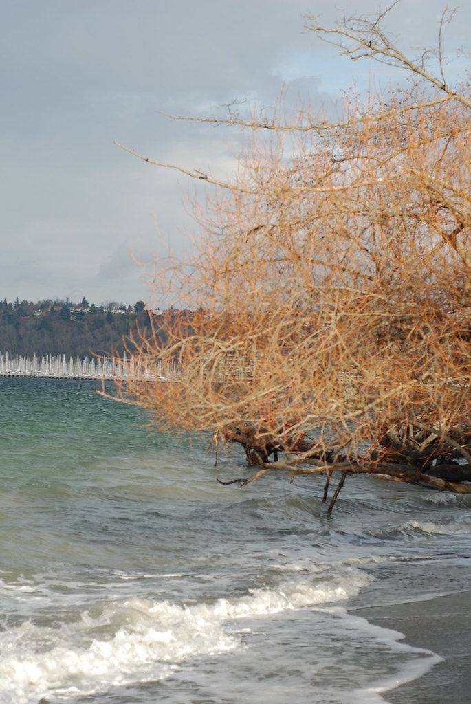 Plage US-W