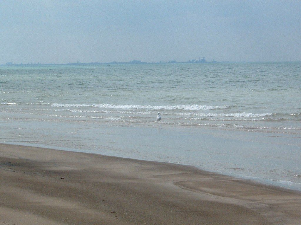 East Shoreline