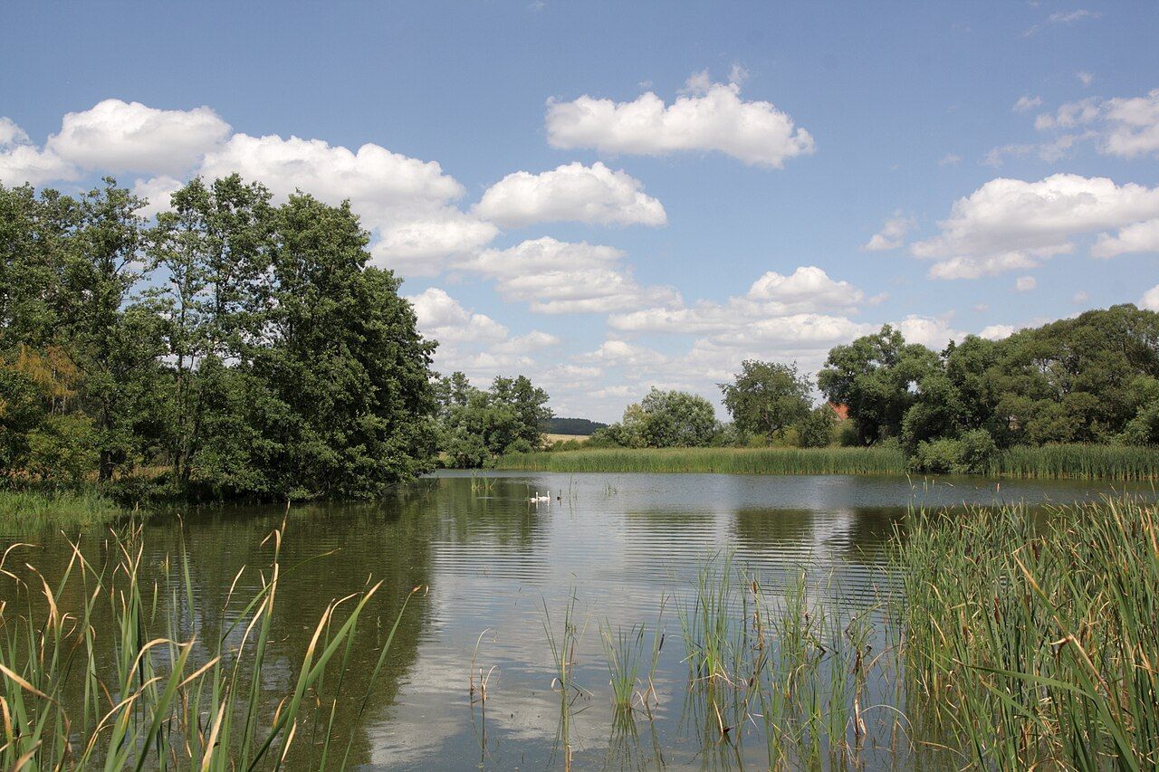 Mezholezský rybník