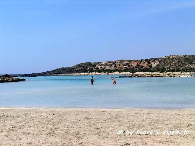 Reef GR