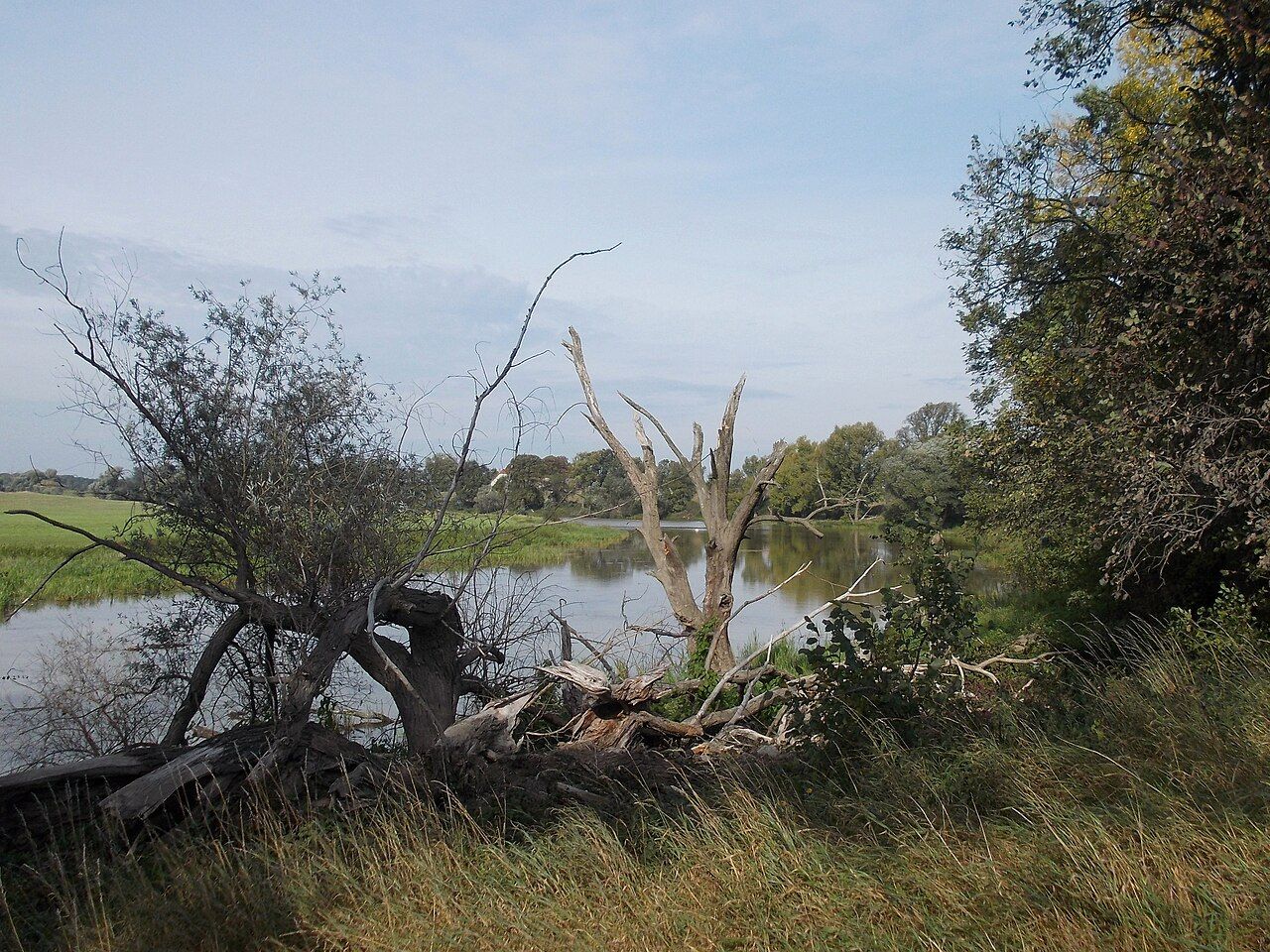 Alte Elbe Kathewitz