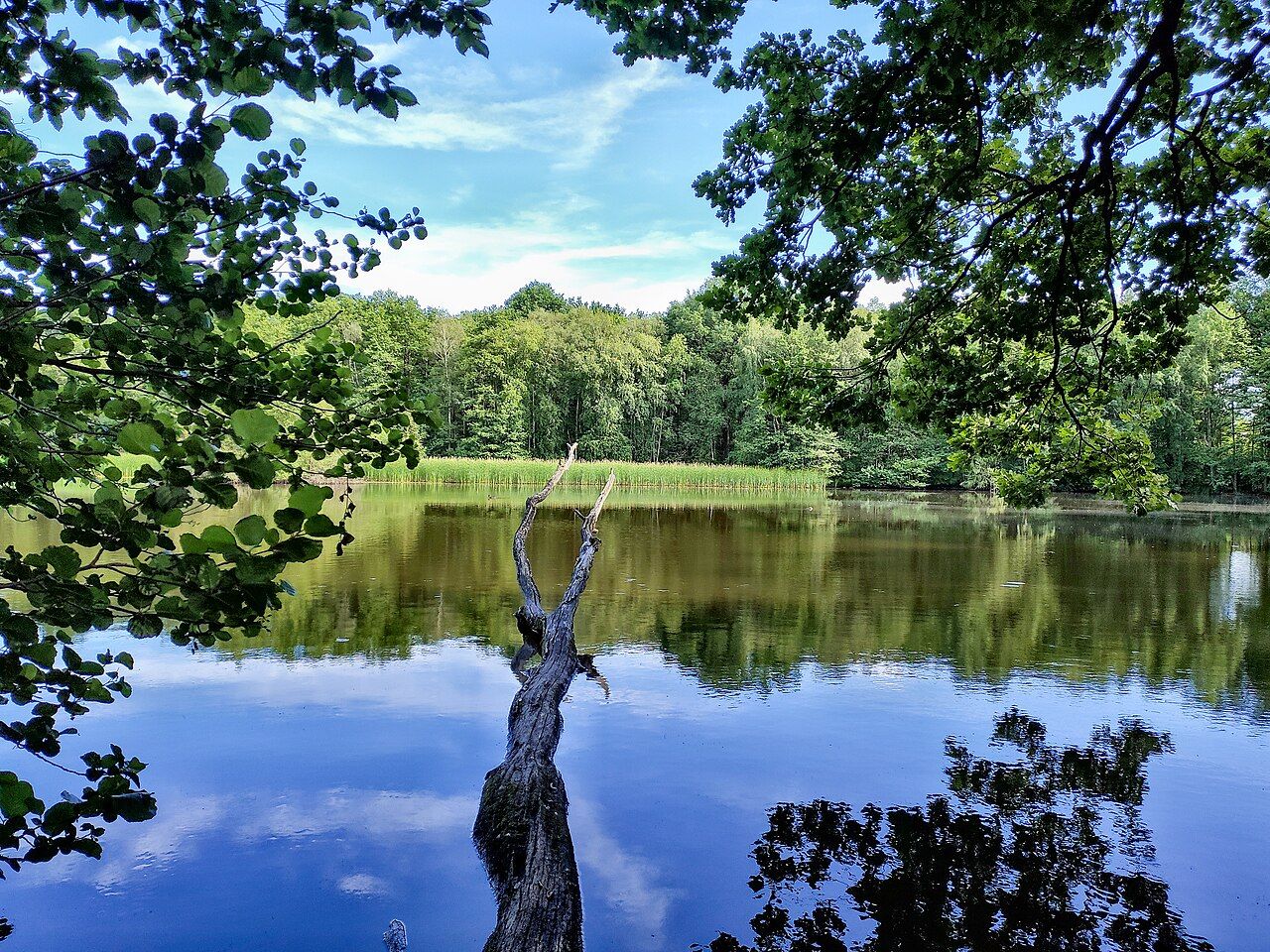 Schafteich