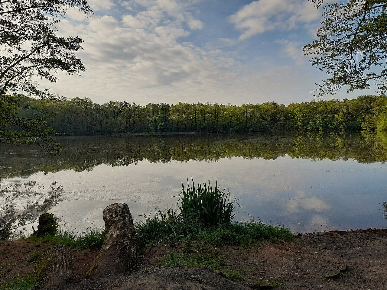 Höhlteich