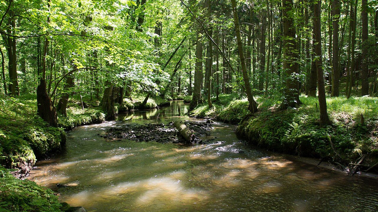 Tiefental bei Königsbrück