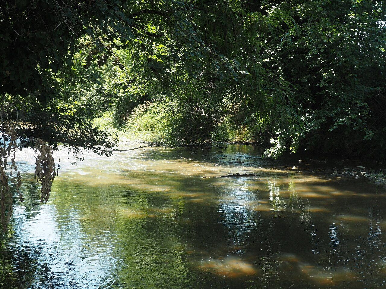 Riserva naturale della Garzaia di Villarboit